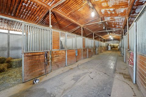 Tiny photo for 30048 S Klemme Road, Beecher, IL 60401 (MLS # 12552777)