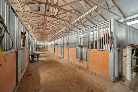 Tiny photo for 30048 S Klemme Road, Beecher, IL 60401 (MLS # 12552777)