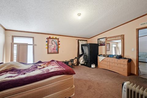 Tiny photo for 30048 S Klemme Road, Beecher, IL 60401 (MLS # 12552777)