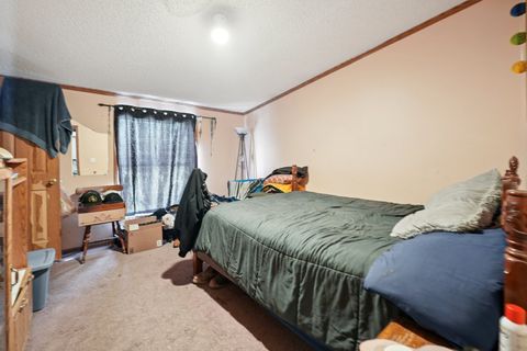 Tiny photo for 30048 S Klemme Road, Beecher, IL 60401 (MLS # 12552777)