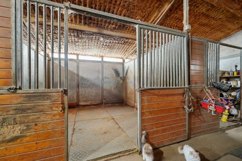 Tiny photo for 30048 S Klemme Road, Beecher, IL 60401 (MLS # 12552777)