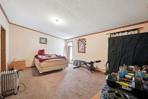 Tiny photo for 30048 S Klemme Road, Beecher, IL 60401 (MLS # 12552777)