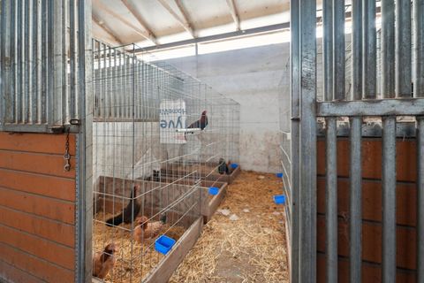 Tiny photo for 30048 S Klemme Road, Beecher, IL 60401 (MLS # 12552777)