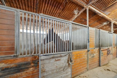 Tiny photo for 30048 S Klemme Road, Beecher, IL 60401 (MLS # 12552777)