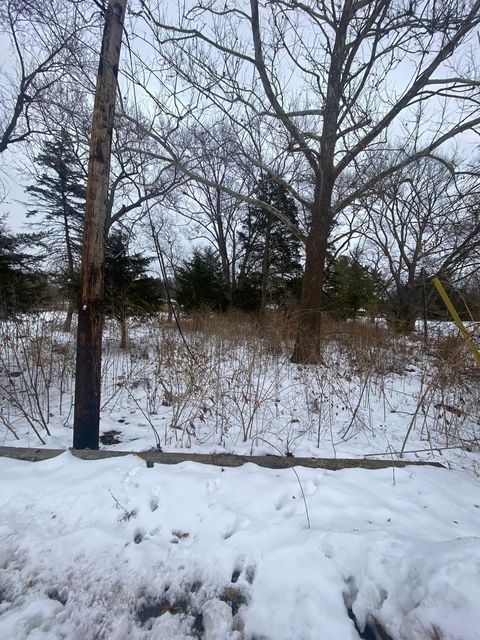 Photo of 5609 River Road, Lisle, IL 60532 (MLS # 12531442)