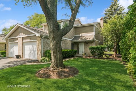 Tiny photo for 230 W GOLFVIEW Terrace, Palatine, IL 60067 (MLS # 12379373)
