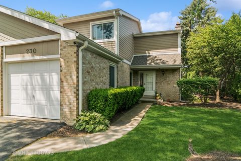 Photo of 230 W GOLFVIEW Terrace, Palatine, IL 60067 (MLS # 12379373)