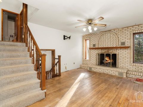 Tiny photo for 14508 Dixon Lane, Homer Glen, IL 60491 (MLS # 12524120)