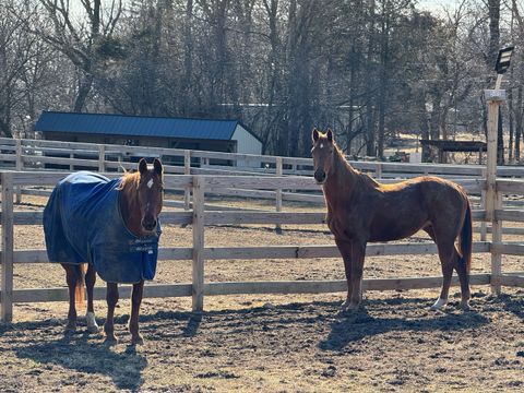 Tiny photo for 708 S Rose Farm Road, Woodstock, IL 60098 (MLS # 12570210)