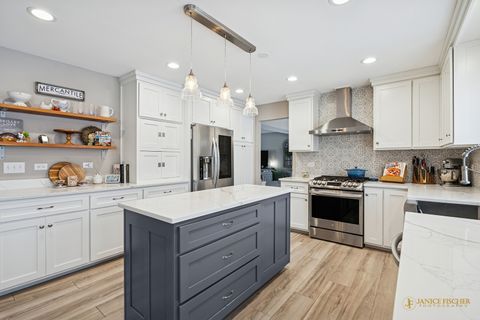 Tiny photo for 193 White Feather Lane, Gilberts, IL 60136 (MLS # 12526792)