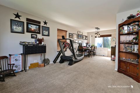 Tiny photo for 249 Jasmine Circle, Lindenhurst, IL 60046 (MLS # 12469463)