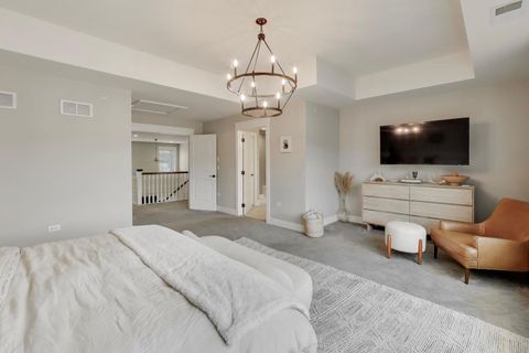 Tiny photo for 613 Bourbon Court, Naperville, IL 60565 (MLS # 12586019)