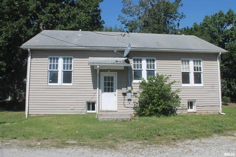 Tiny photo for 407 S Beveridge Street, Carbondale, IL 62901 (MLS # EB458806)