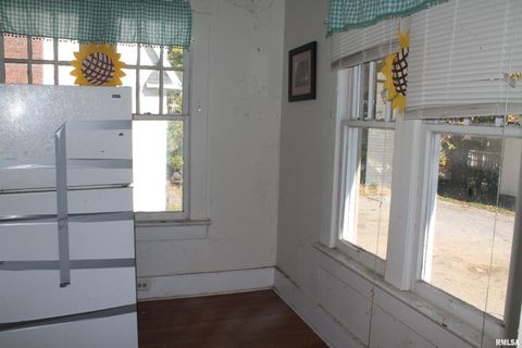 Tiny photo for 407 S Beveridge Street, Carbondale, IL 62901 (MLS # EB458806)