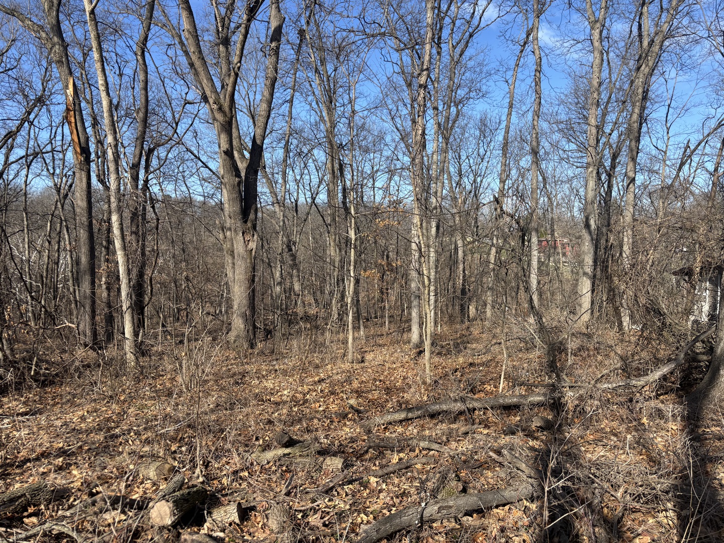 1668 Lakeside Court
