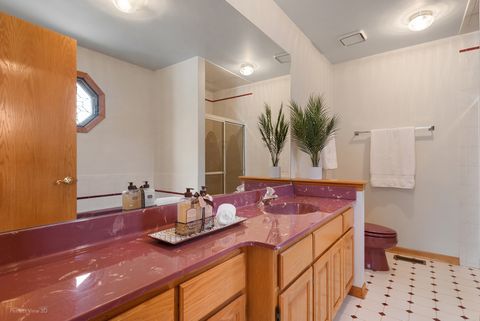 Tiny photo for 1216 Country Lane, Lemont, IL 60439 (MLS # 12493740)