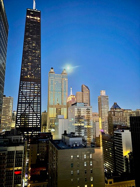 Tiny photo for 880 N Lake Shore Drive #25H, Chicago, IL 60611 (MLS # 12678657)