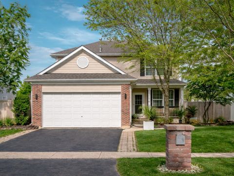 424 Grape Vine Trail, Oswego, IL 60543 - #: 12567510
