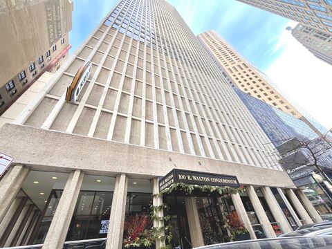100 E Walton Place 14A Chicago IL 60611