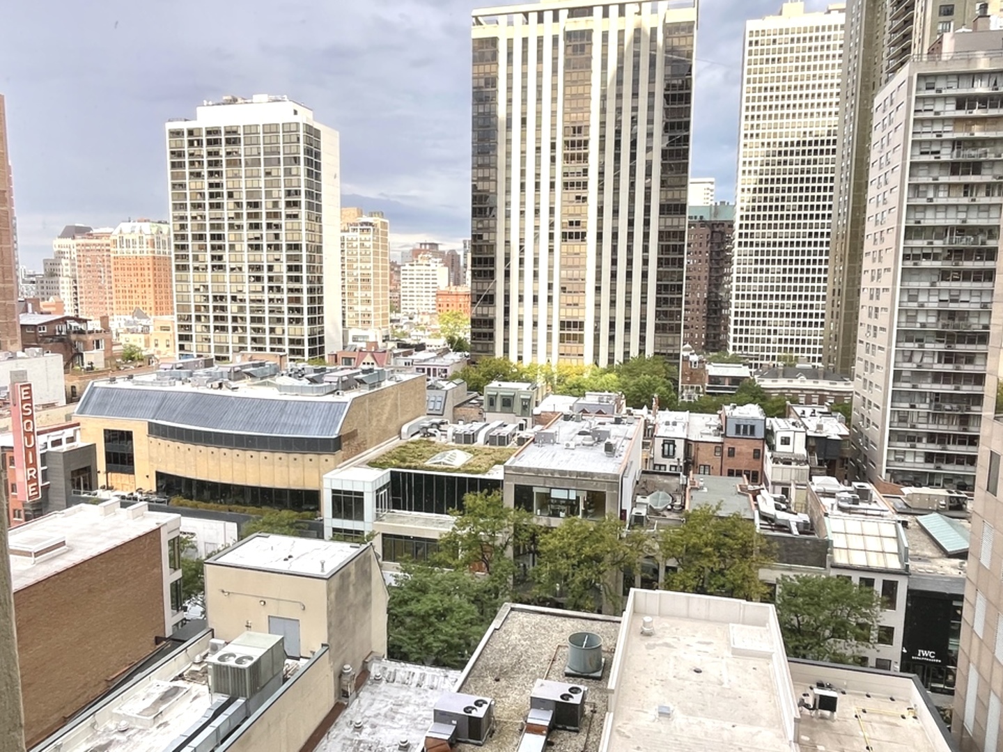 100 E Walton Place 14A