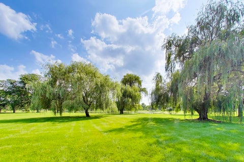 Tiny photo for 758 Moore Drive #758, Elk Grove Village, IL 60007 (MLS # 12715560)