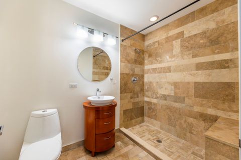 Tiny photo for 2545 S DEARBORN Street #332, Chicago, IL 60616 (MLS # 12478362)