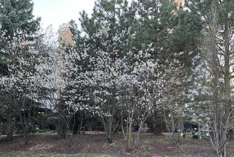 Tiny photo for 20565 N Westpark Place #6, Deer Park, IL 60010 (MLS # 12620014)