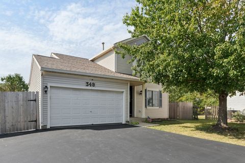 349 E Springwood Court Round Lake Beach IL 60073