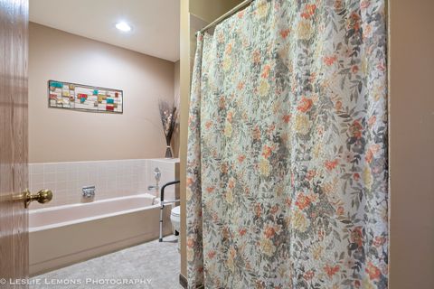 Tiny photo for 13869 S Mandarin Court, Plainfield, IL 60544 (MLS # 12462981)