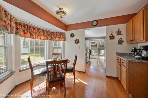 Tiny photo for 13869 S Mandarin Court, Plainfield, IL 60544 (MLS # 12462981)