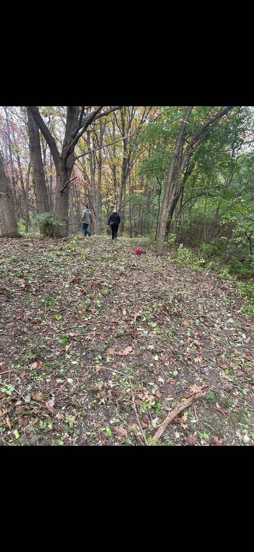 7 Autumn Trail