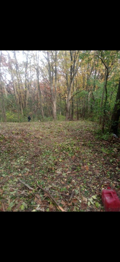 7 Autumn Trail