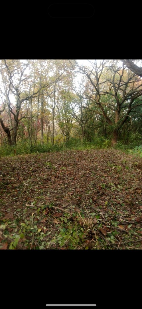 7 Autumn Trail