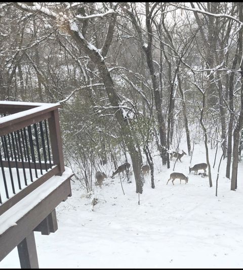 Tiny photo for 927 Treeline Court, Lockport, IL 60441 (MLS # 12544821)