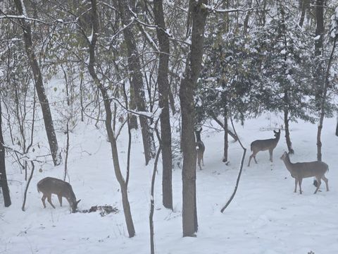 Tiny photo for 927 Treeline Court, Lockport, IL 60441 (MLS # 12544821)