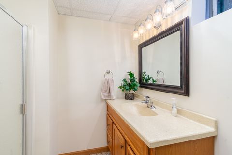 Tiny photo for 100 Willow Trail, Spring Valley, IL 61362 (MLS # 12593168)