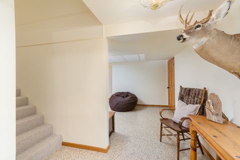 Tiny photo for 100 Willow Trail, Spring Valley, IL 61362 (MLS # 12593168)