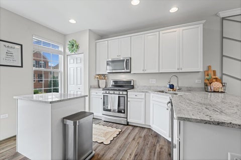 Tiny photo for 300 Lionel Drive, Grayslake, IL 60030 (MLS # 12687383)