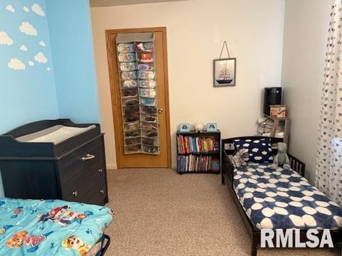 Tiny photo for 404 N MAPLE Street, Christopher, IL 62822 (MLS # 12593523)