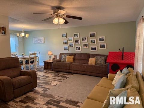 Tiny photo for 404 N MAPLE Street, Christopher, IL 62822 (MLS # 12593523)