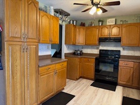 Tiny photo for 404 N MAPLE Street, Christopher, IL 62822 (MLS # 12593523)