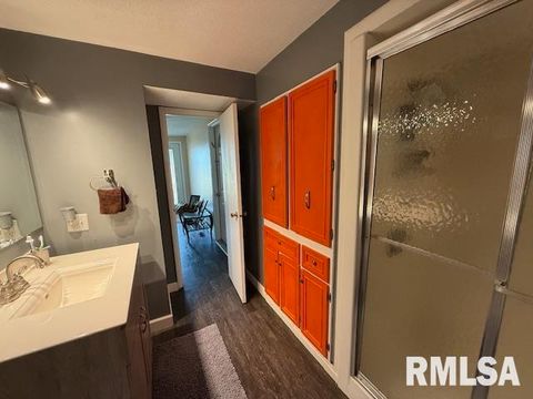 Tiny photo for 404 N MAPLE Street, Christopher, IL 62822 (MLS # 12593523)