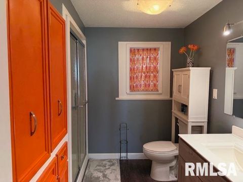 Tiny photo for 404 N MAPLE Street, Christopher, IL 62822 (MLS # 12593523)