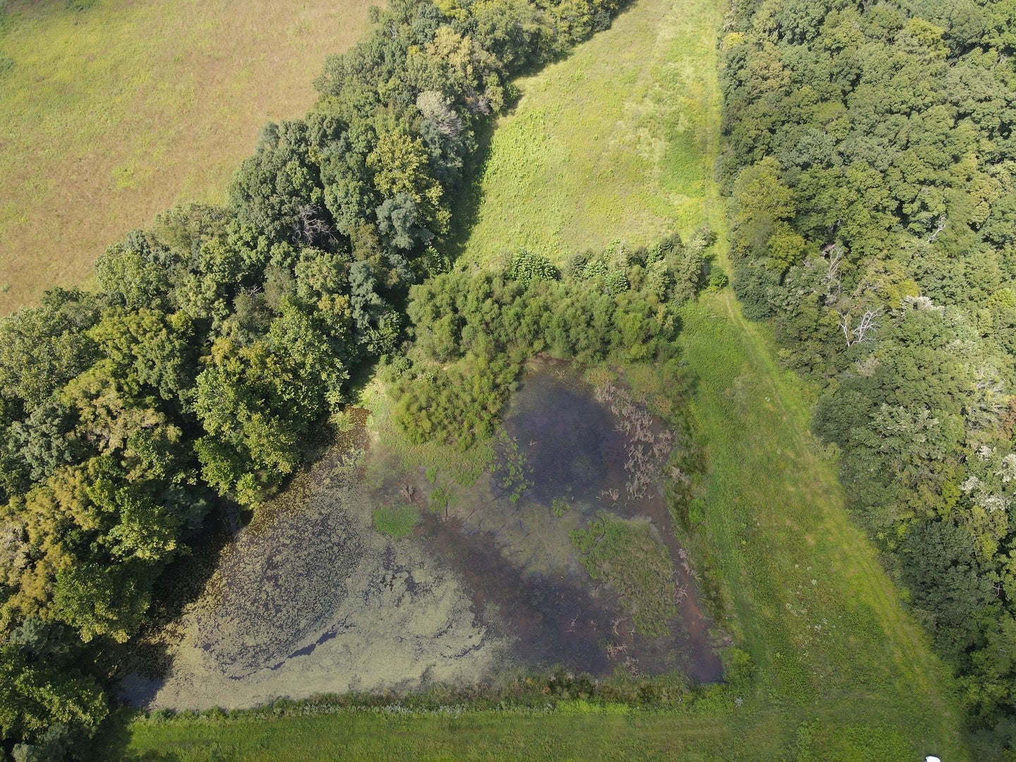 000 County Road 1450 E