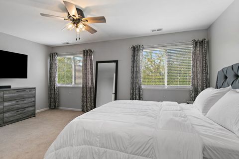 Tiny photo for 284 Nicole Drive #C, South Elgin, IL 60177 (MLS # 12487490)