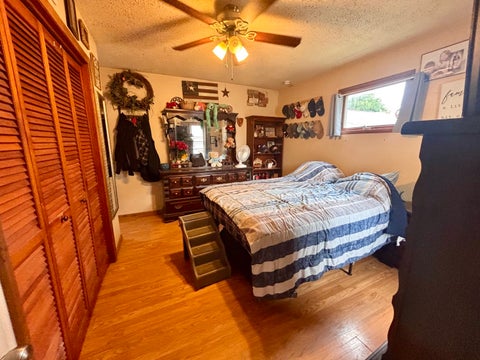 Tiny photo for 302 N Emma Street, Christopher, IL 62822 (MLS # 12730369)