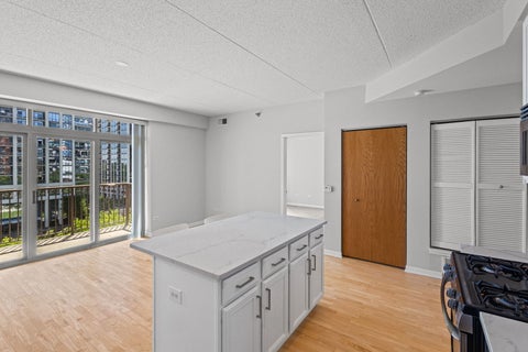 Tiny photo for 1250 S Indiana Avenue #704, Chicago, IL 60605 (MLS # 12688003)