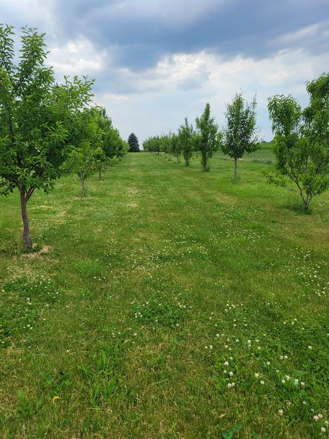 Tiny photo for 12350 W IL RT 26 Route, Polo, IL 61064 (MLS # 12612995)