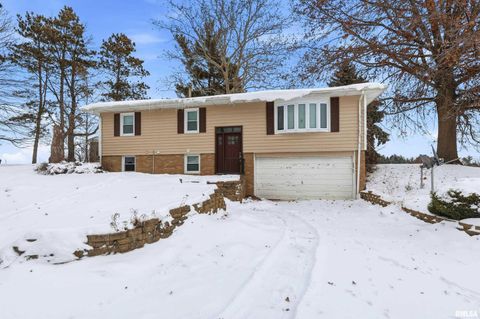 Tiny photo for 22503 45TH Avenue, Port Byron, IL 61275 (MLS # QC4269973)