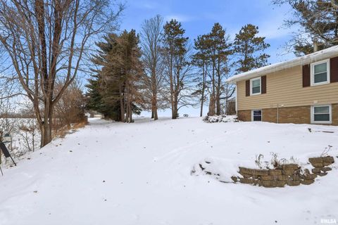 Tiny photo for 22503 45TH Avenue, Port Byron, IL 61275 (MLS # QC4269973)